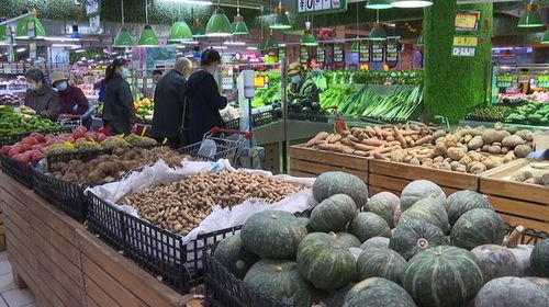 節(jié)慶熱潮帶動市場繁榮 日用百貨供需兩旺新圖景